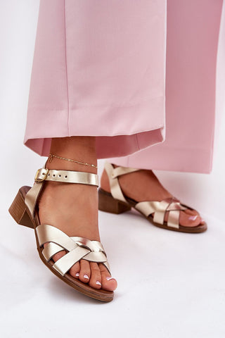  Heel sandals model 212124 Step in style 